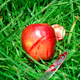 Image for article titled Complementary Colors 2